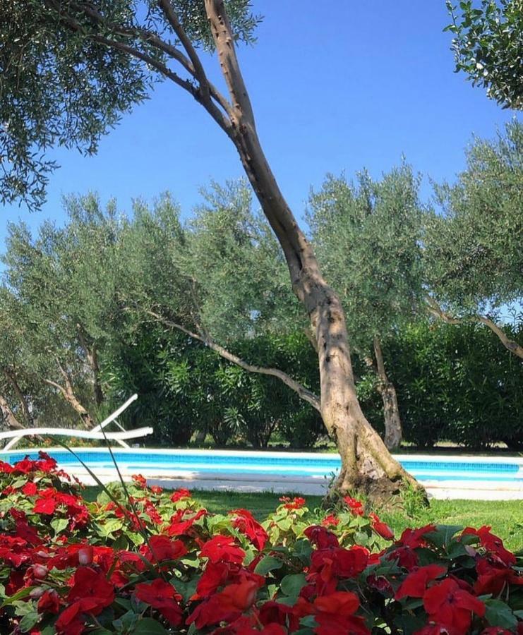 Villa Tamaris Makarska Esterno foto